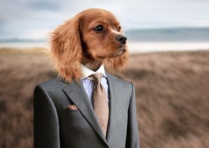 Lean Management mit Krawatte: Ist das authentisch?